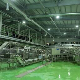«Гавань» в рамках второго этапа запустила на Сахалине завод по переработке рыбы большой мощности. Фото пресс-службы правительства региона