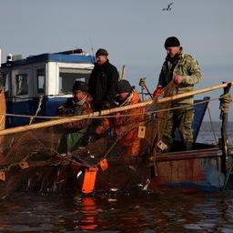 Рыбный промысел на озере Ильмень, Новгородская область