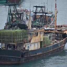 В США озабочены присутствием китайского рыболовного флота в Южной Америке. Фото Jorge Cortell («Википедия»)