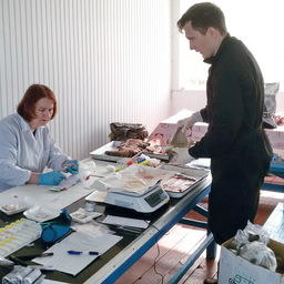 Исследования провели в лаборатории прикладной физиологии и биохимии Азовского НИИ рыбного хозяйства. Фото пресс-службы института
