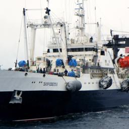 Ассоциация судовладельцев рыбопромыслового флота направила в правительство перечень предложений по поддержке рыбной отрасли в условиях санкционного давления. Фото предоставлено АСРФ