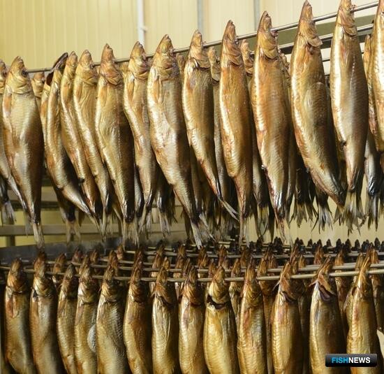 Рыба к месту: в бренды превратилась рыбная продукция из разных регионов