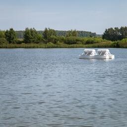 Власти Ленинградской области заказали разработку программы воспроизводства водных биоресурсов в пяти озерах