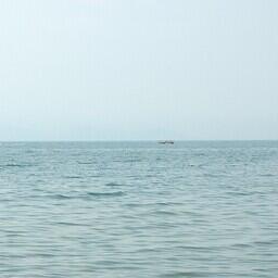 Минсельхоз собирается подновить приказ для квотных аукционов