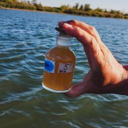 Экспедиция также собрала материалы для всесторонней оценки состояния водной экосистемы. Фото пресс-службы института