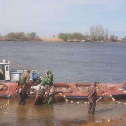 В Астраханской области с 11 сентября начинается осенняя путина. Фото пресс-службы ВНИРО