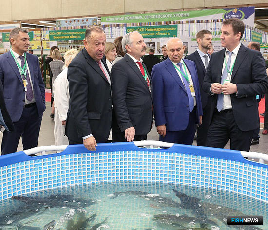 Глава Минсельхоза Дмитрий ПАТРУШЕВ осмотрел экспозицию, бассейн и аквариумы и высоко оценил представленные на выставке образцы племенной рыбы