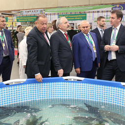 Глава Минсельхоза Дмитрий ПАТРУШЕВ осмотрел экспозицию, бассейн и аквариумы и высоко оценил представленные на выставке образцы племенной рыбы