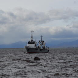 Российские уловы достигли 3,6 млн тонн