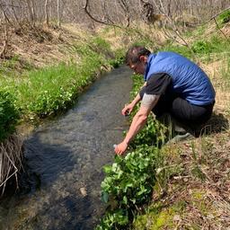 Специалисты определят влияние природных химических соединений на водные биоресурсы. Фото пресс-службы правительства Камчатки