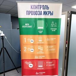 Один авиапассажир может вывезти с собой с Камчатки не более 10 кг немаркированной красной икры в ручной клади или багаже