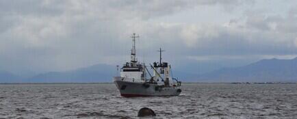 В 2019 году норму освоения квот на вылов подняли до 70%. Архивное фото