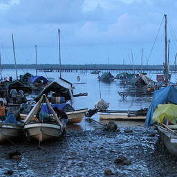 Рыбацкие лодки у побережья Папуа – Новой Гвинеи. Фото из «Википедии»