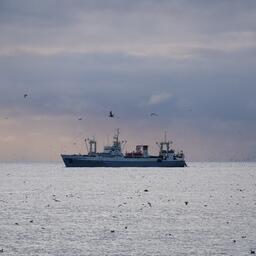 Рыбопромысловое судно на Дальнем Востоке. Фото пресс-службы «Океанрыбфлота»