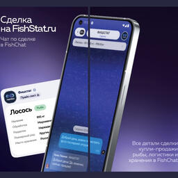 На платформе «Фишстат» собрали полезные инструменты для тех, кто работает на рыбном рынке, в одном месте. Иллюстрация предоставлена командой Fishstat