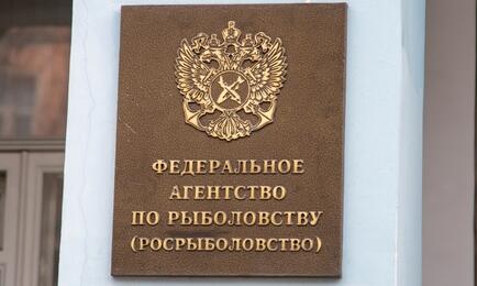 Росрыболовство собирает мнения по тестированию «рыбных бирж» среди отраслевых объединений