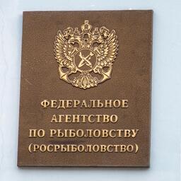 Росрыболовство собирает мнения по тестированию «рыбных бирж» среди отраслевых объединений