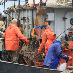 «Рыбака прибрежного лова» предложили включить в список профессий и должностей для прохождения альтернативной службы