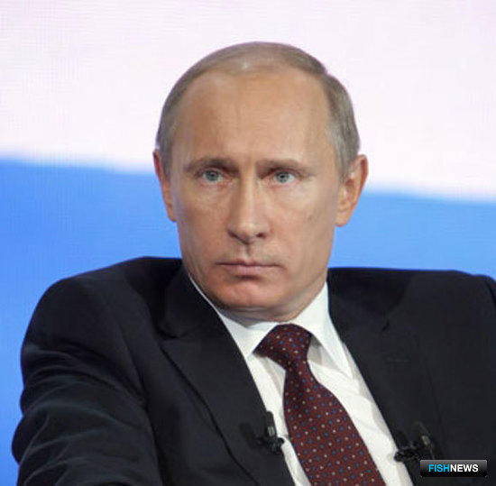 Председатель Правительства РФ Владимир Путин