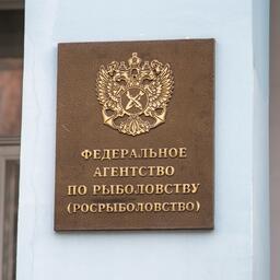 В полномочия Росрыболовство включили создание комиссии для аттестации экспедиционных отрядов аварийно-спасательных работ