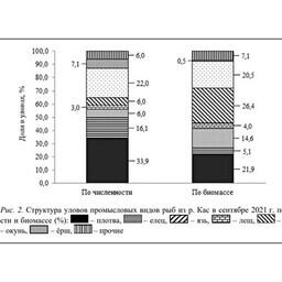 Ученые оценили рыбные запасы реки Кас. График предоставлен пресс-службой Красноярского филиала ВНИРО