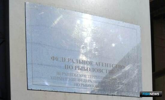 Торги: озера Горного Алтая разыграют для рыбоводов