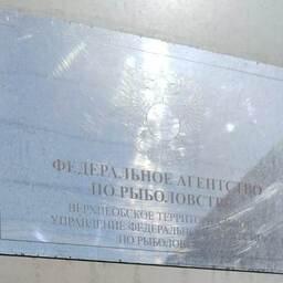 Торги организует Верхнеобское теруправление Росрыболовства. Архивное фото