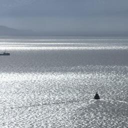 Минсельхоз разместил проект изменений в порядок оснащения судов техническими средствами контроля