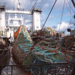 Рыбный промысел на Дальнем Востоке. Фото РРПК