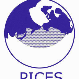 Логотип ПИКЕС
