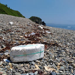 Даже до заповедных уголков Приморья добирается морской мусор – обломки пенопластовых поплавков от сетей, пластиковые бутылки, железо…