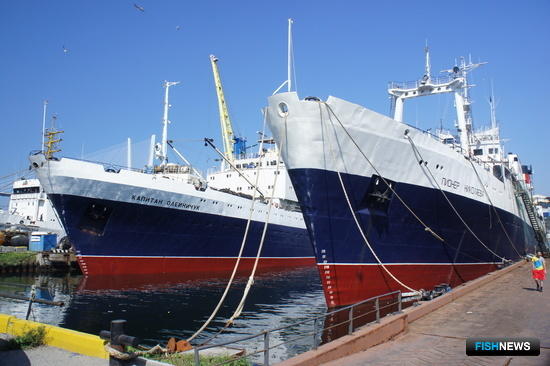 На сегодняшний день суда «Русской рыбопромышленной компании» добывают свыше четверти миллиона тонн минтая и сельди. Фото предоставлено РРПК