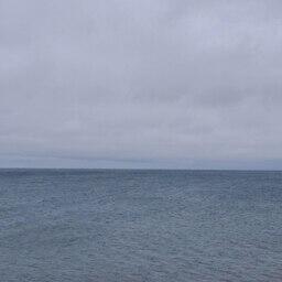 Участок расположен в заливе Анива