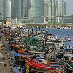 Рыбацкие лодки в южнокорейском Пусане