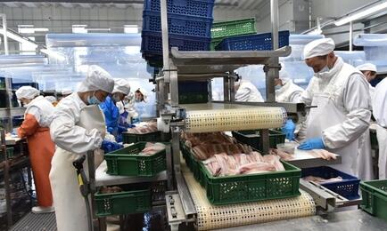 Переработка минтая на заводе в Приморье. Архивное фото