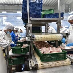 Переработка минтая на заводе в Приморье. Архивное фото