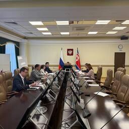 Представители России и КНДР провели первое заседание подкомиссии по охране окружающей среды. Фото пресс-службы Минприроды. CC BY 4.0