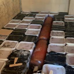 Еще более 1,6 тонны деликатеса нашли в кунге КамАЗа. Фото пресс-службы СВТУ ФАР