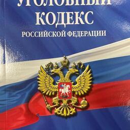 Жителю Хабаровского края грозит уголовное наказание за продажу несуществующей икры