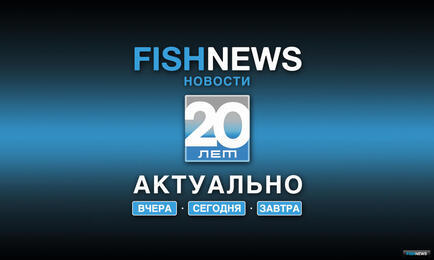 В рамках проекта «Актуально вчера, сегодня, завтра» Fishnews рассказал, как в отраслевое законодательство вносились судьбоносные изменения о долгосрочном предоставлении доступа к промыслу