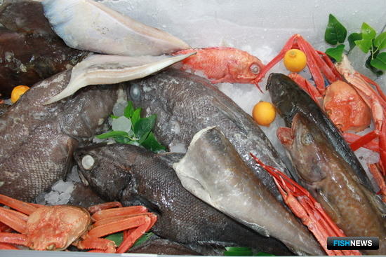 Российские рыба и другие морепродукты на выставке в Циндао