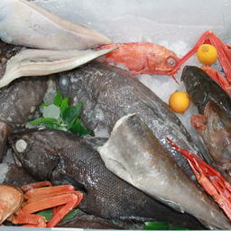 Российские рыба и другие морепродукты на выставке в Циндао