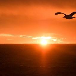 Рассвет в Охотском море. Фото предоставлено РК «Восток-1»