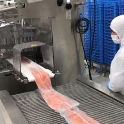 Производство рыбопродукции на заводе в Чили