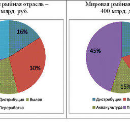 График 11 – Сравнение структуры оборота российской и мировой рыбной отрасли