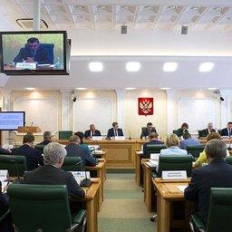 Экспортный потенциал российского АПК обсуждали на заседании Совета по вопросам агропромышленного комплекса при Совфеде. Фото пресс-службы СФ