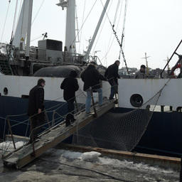 Посещение рыбопромысловых судов специалистами компании "Альфа Лаваль" 