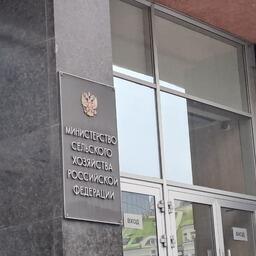 Проект о расширении перечня градо- и поселкообразующих рыбохозяйственных организаций подготовил Минсельхоз