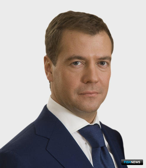 Медведев Дмитрий Анатольевич: Заместитель председателя Совета Безопасности  РФ, биография, фото.