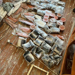 По данным следствия, рыбинспектор покровительствовал браконьерской деятельности. Фото пресс-службы УМВД России по Сахалинской области